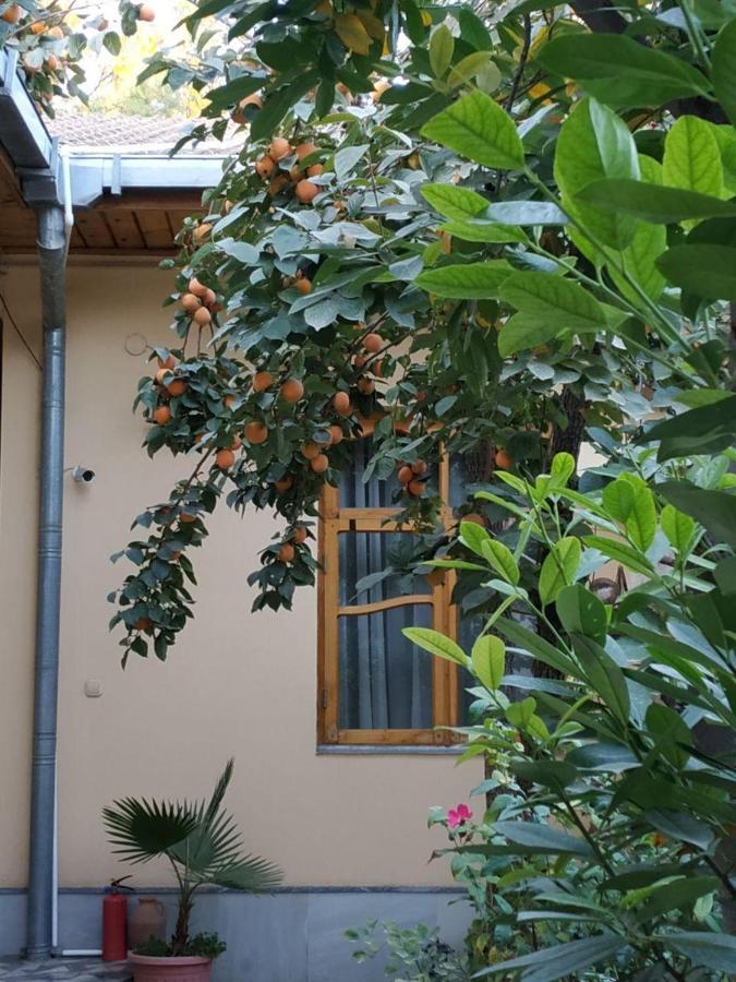 Sim Sim Hostel & Guest House Near The Church Samarkand Ngoại thất bức ảnh