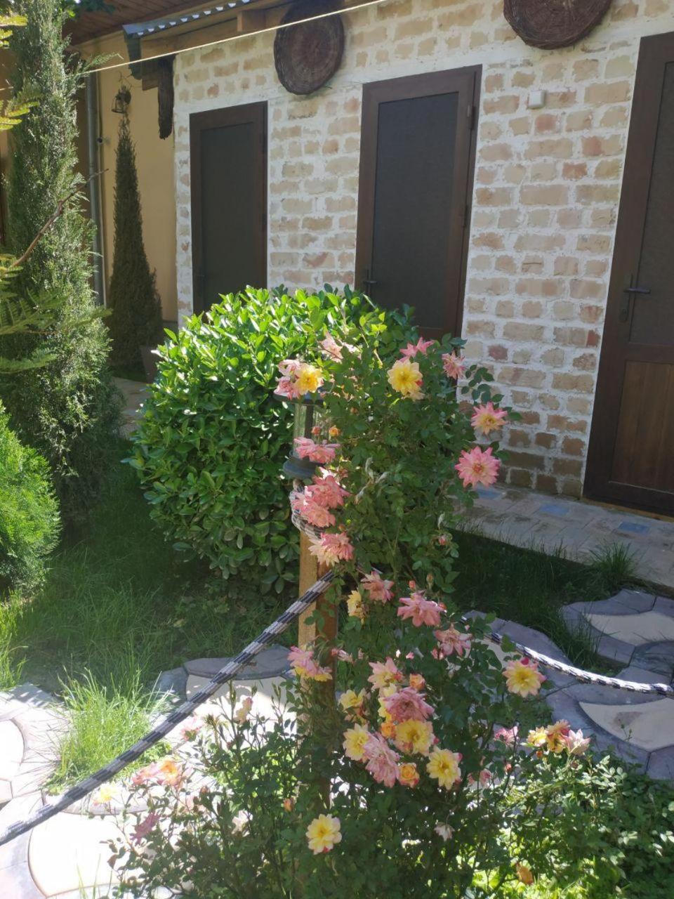 Sim Sim Hostel & Guest House Near The Church Samarkand Ngoại thất bức ảnh