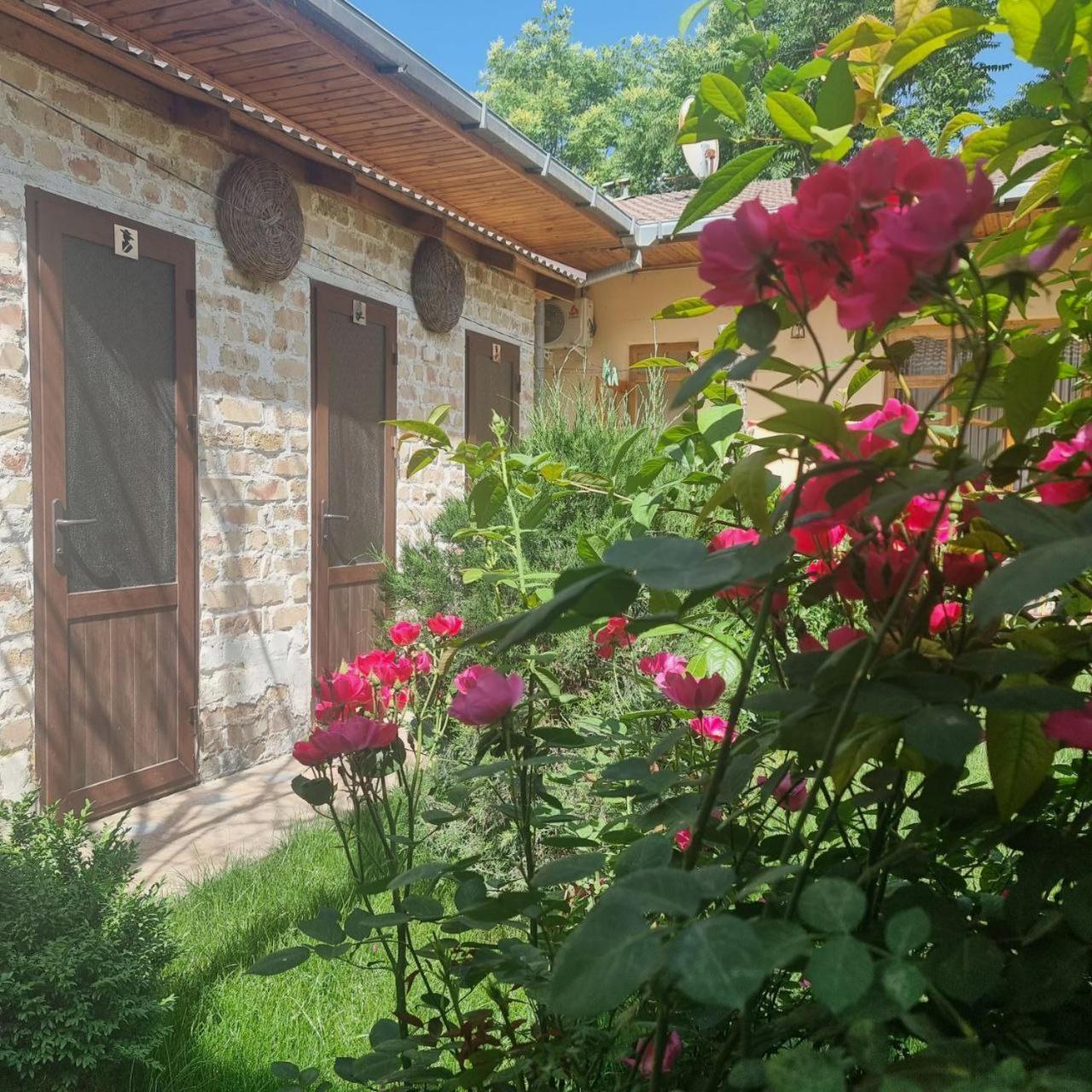 Sim Sim Hostel & Guest House Near The Church Samarkand Ngoại thất bức ảnh